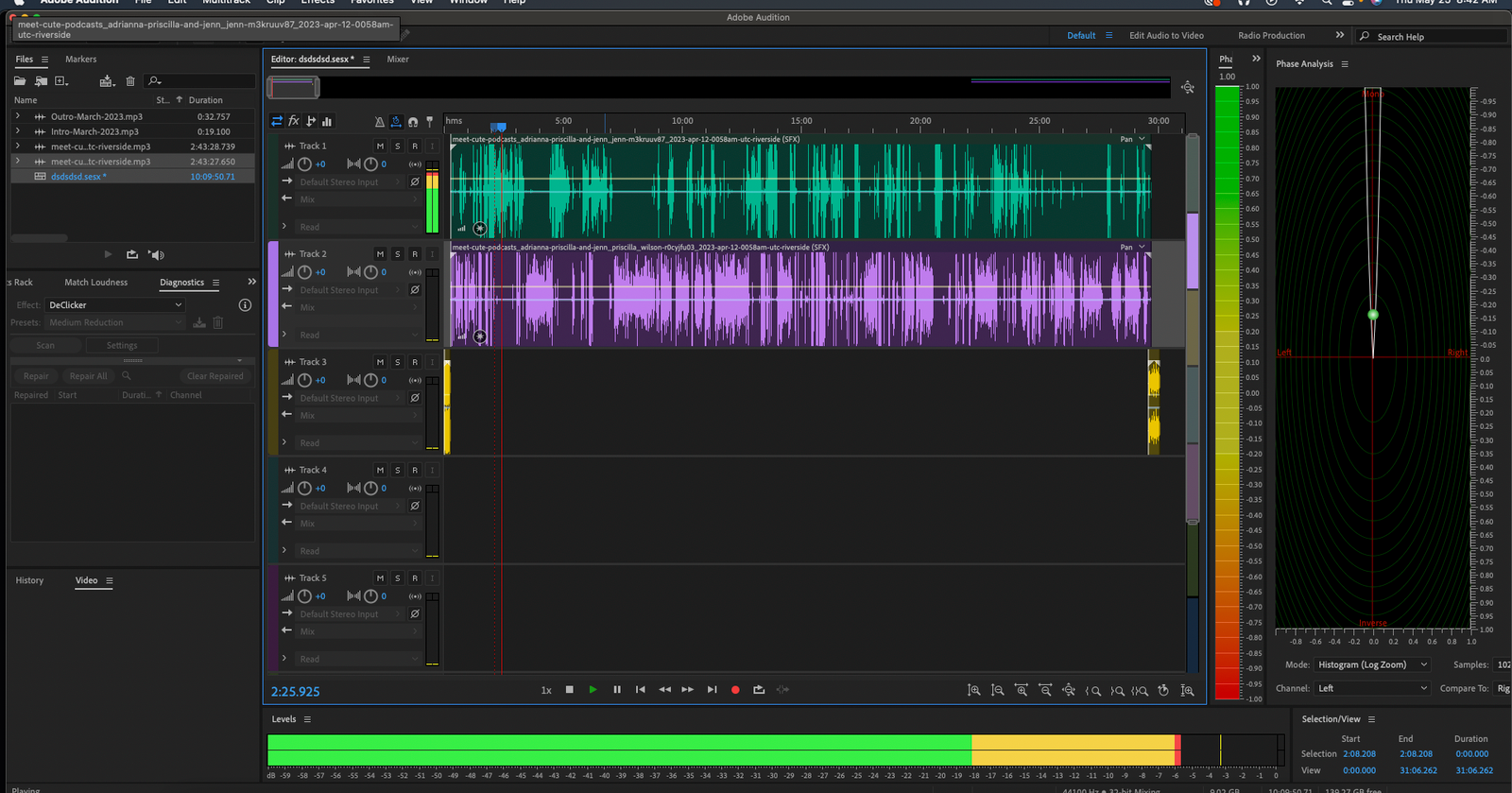 Podcast Editing